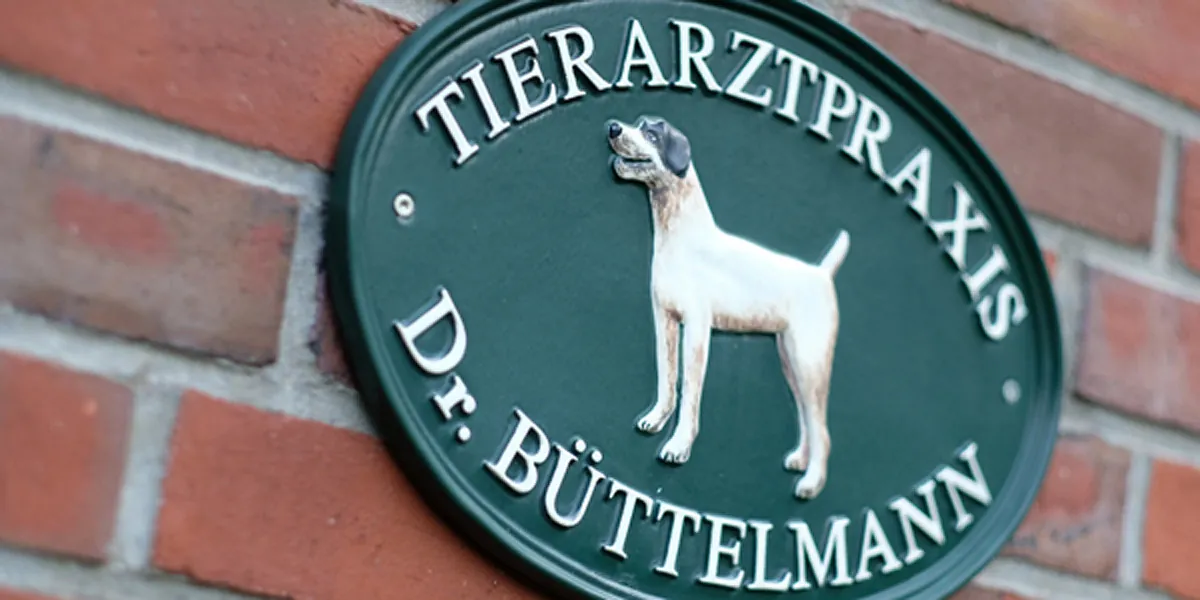 Tierarztpraxis Hambergen Dr. Ahlert Büttelmann Erkrankung
